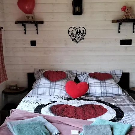 Country house Tiny House