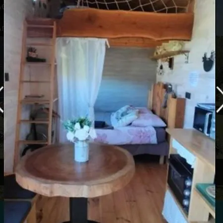 Country house Tiny House